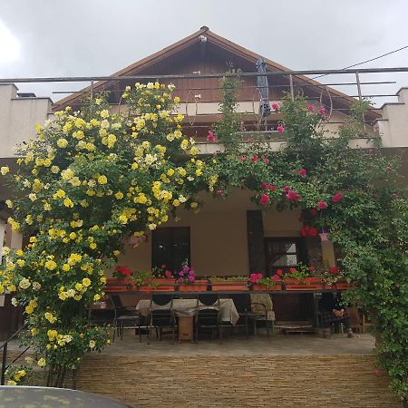 Casa Delia 호텔 Călimăneşti 외부 사진
