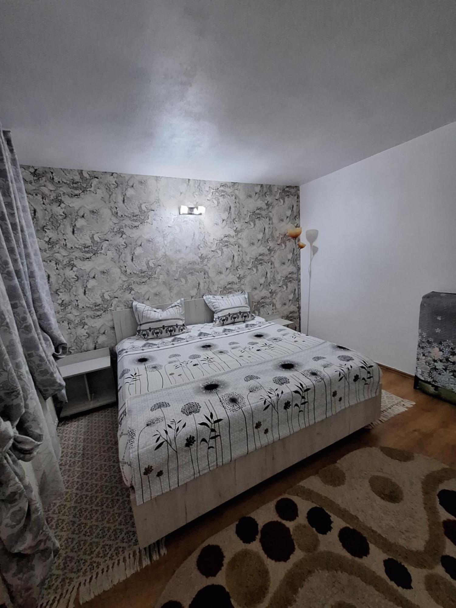 Casa Delia 호텔 Călimăneşti 외부 사진