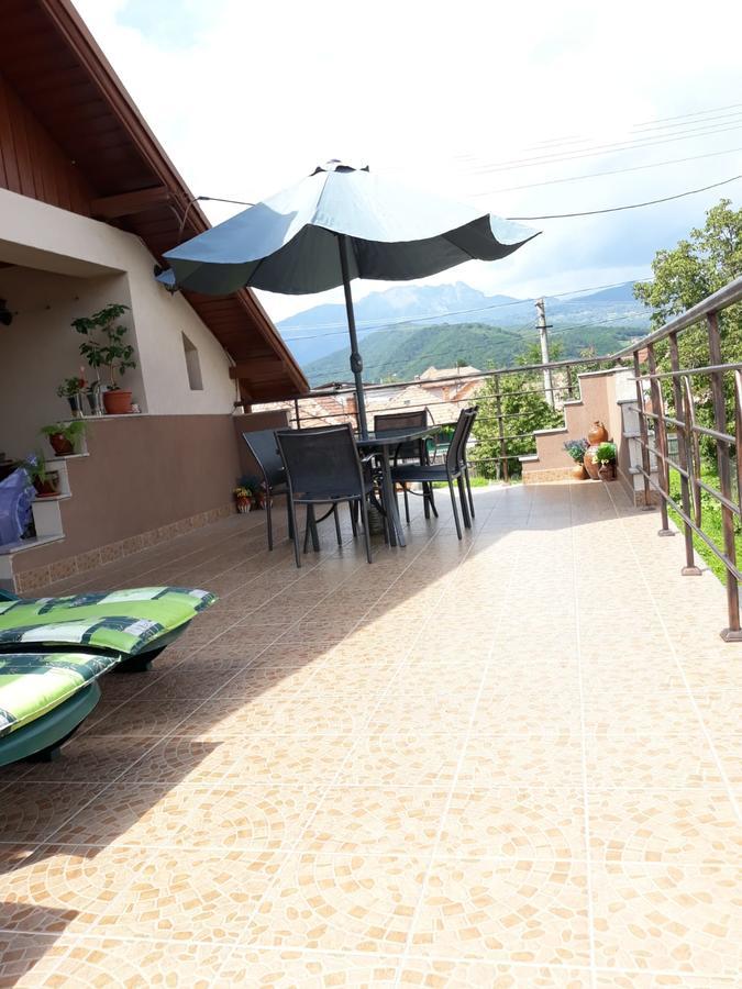Casa Delia 호텔 Călimăneşti 외부 사진