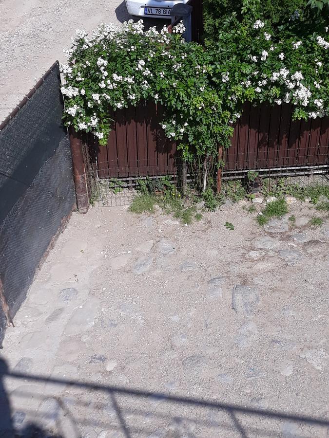 Casa Delia 호텔 Călimăneşti 외부 사진