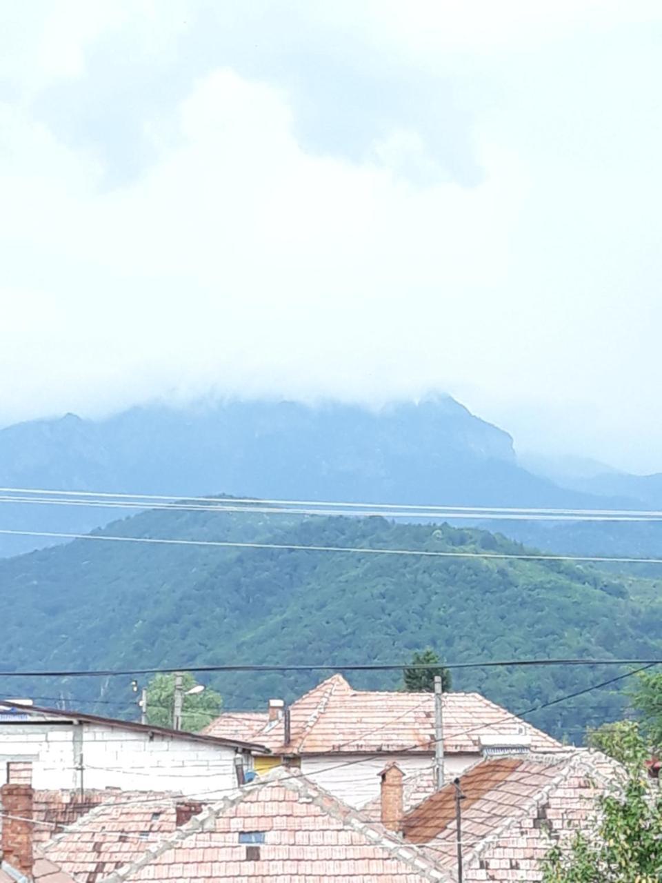 Casa Delia 호텔 Călimăneşti 외부 사진