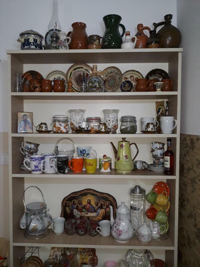 Casa Delia 호텔 Călimăneşti 외부 사진