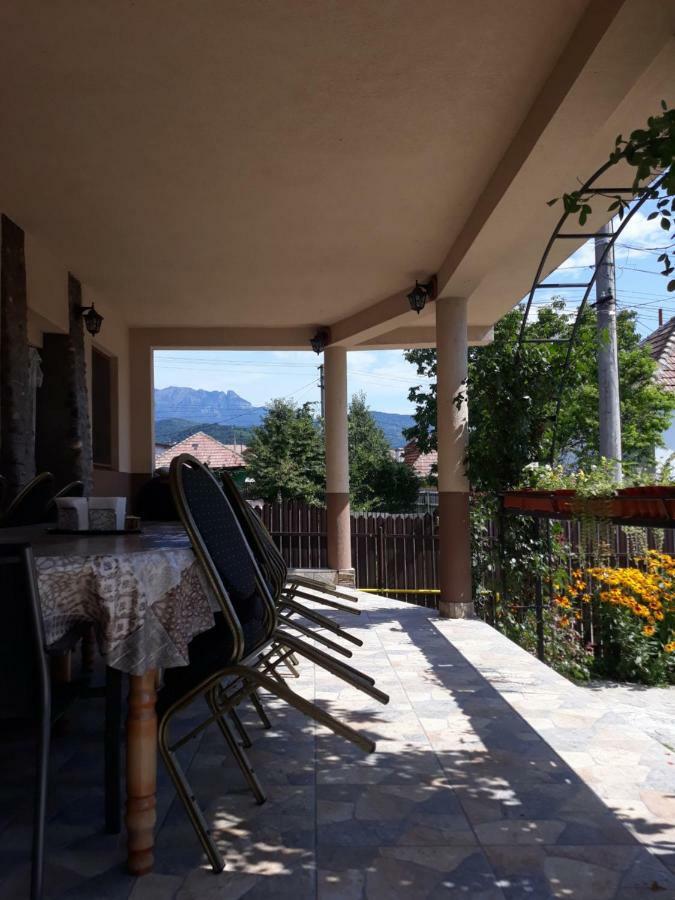 Casa Delia 호텔 Călimăneşti 외부 사진