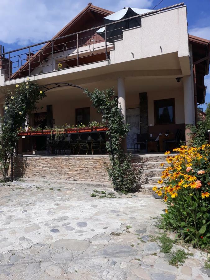 Casa Delia 호텔 Călimăneşti 외부 사진